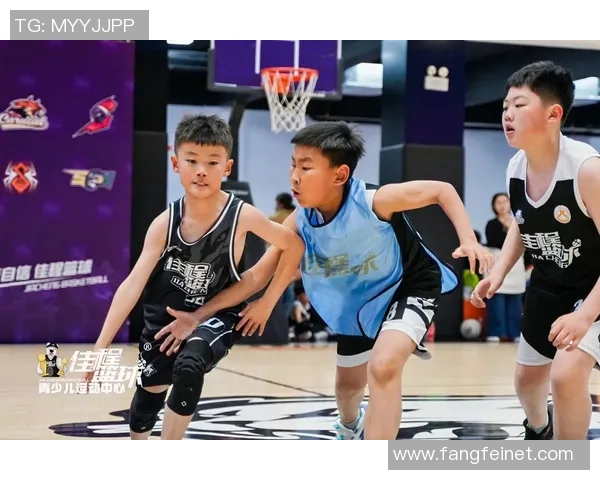 怼篮球：从街头对抗到职业赛场的热血传奇与青春回忆